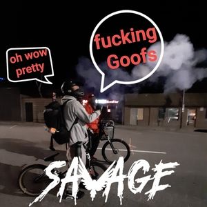 Meet your Posher, Henry